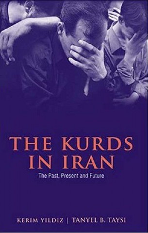 Kniha Kurds in Iran Kerim Yildiz