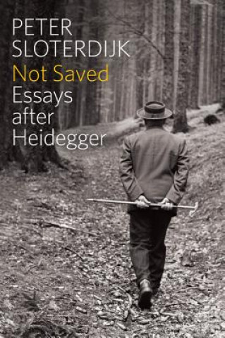 Knjiga Not Saved - Essays After Heidegger Peter Sloterdijk