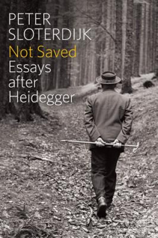 Kniha Not Saved - Essays After Heidegger Peter Sloterdijk