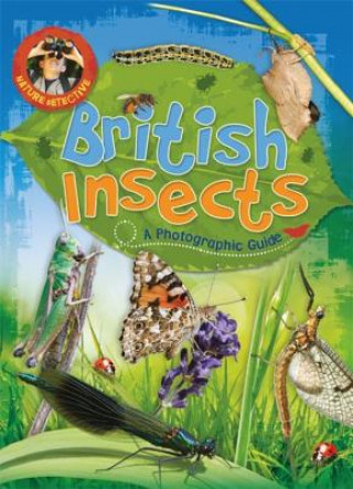 Buch Nature Detective: British Insects Victoria Munson