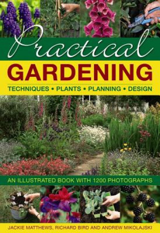 Kniha Practical Gardening Jackie Matthews