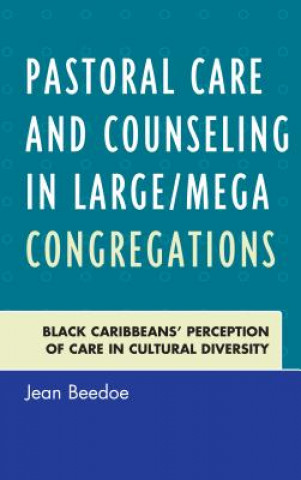 Książka Pastoral Care and Counseling in Large/Mega Congregations Jean Beedoe