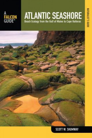 Carte Naturalist's Guide to the Atlantic Seashore Scott W. Shumway