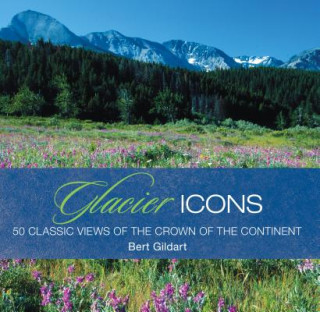 Libro Glacier Icons Jane Gildart