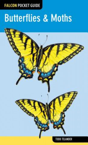 Carte Butterflies & Moths Todd Telander