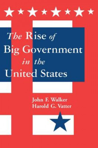 Kniha Rise of Big Government Harold G. Vatter