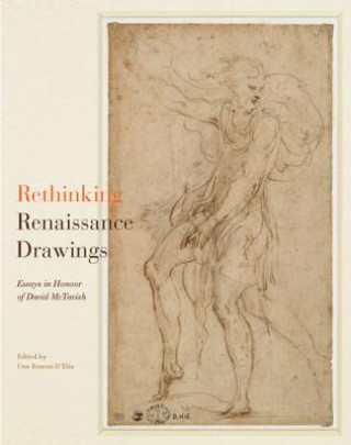 Kniha Rethinking Renaissance Drawings Una Roman D'Elia