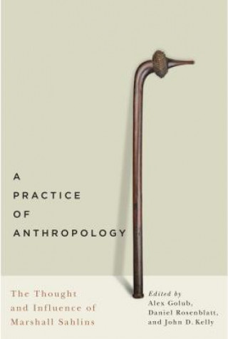 Книга Practice of Anthropology Alex Golub