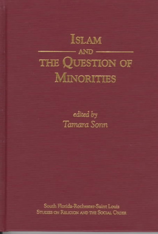 Könyv Islam and the question of Minorities Tamara Sonn