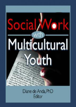 Buch Social Work with Multicultural Youth Diane de Anda