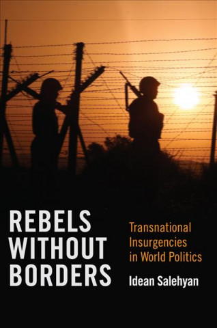 Kniha Rebels without Borders Idean Salehyan