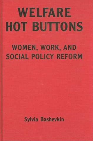 Kniha Welfare Hot Buttons Sylvia Beth Bashevkin