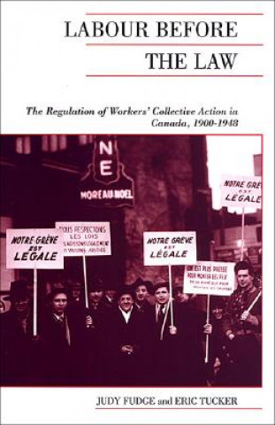 Kniha Labour Before the Law Judy Fudge