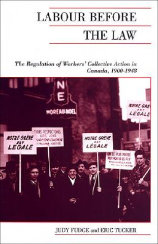 Livre Labour Before the Law Judy Fudge