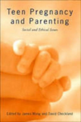 Kniha Teen Pregnancy and Parenting 