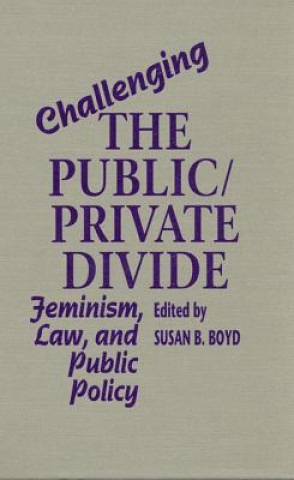 Βιβλίο Challenging the Public/Private Divide 