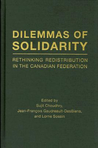 Könyv Dilemmas of Solidarity 