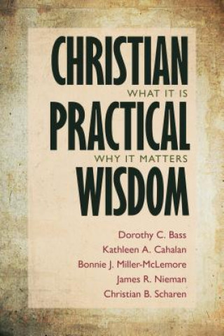 Kniha Christian Practical Wisdom Dorothy C. Bass