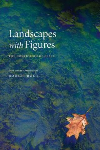 Kniha Landscapes with Figures Robert Root