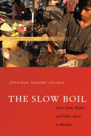 Book Slow Boil Jonathan Shapiro Anjaria