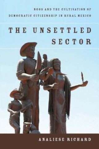 Kniha Unsettled Sector Analiese Richard