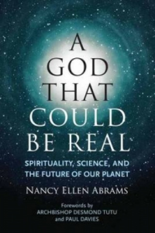 Kniha God That Could be Real Nancy Ellen Abrams