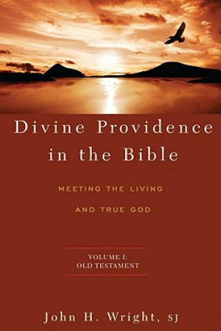Kniha Divine Providence in the Bible: Meeting the Living and True God Wright