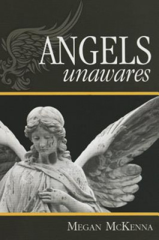 Libro Angels Unawares Megan McKenna