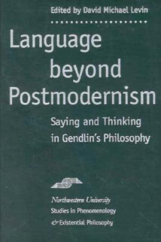 Book Language Beyond Postmodernism David Michael Levin