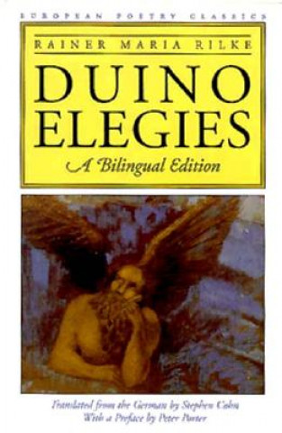 Carte Duino Elegies Rainer Rilke