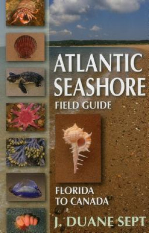 Kniha Atlantic Seashore Field Guide J. Duane Sept