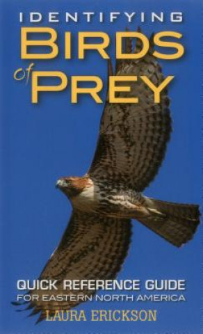 Kniha Identifying Birds of Prey Laura Erickson