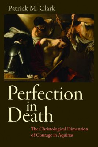 Knjiga Perfection in Death Patrick M. Clark