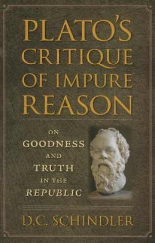 Könyv Plato's Critique of Impure Reason D. C. Schindler