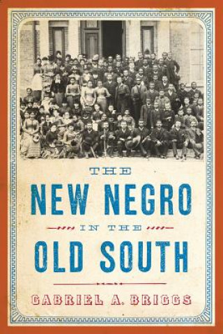 Kniha New Negro in the Old South Gabriel A. Briggs