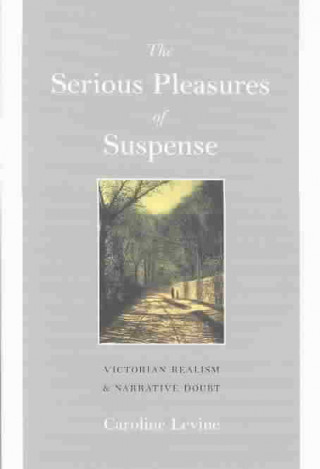 Könyv Serious Pleasures of Suspense Levine
