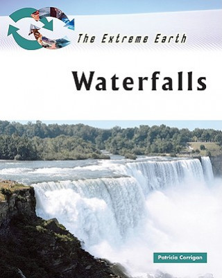 Книга Waterfalls Patricia Corrigan