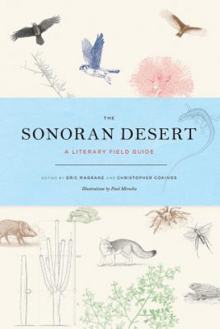 Kniha Sonoran Desert Eric Magrane