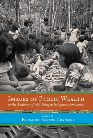Carte Images of Public Wealth or the Anatomy of Well-Being in Indigenous Amazonia 