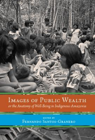 Book Images of Public Wealth or the Anatomy of Well-Being in Indigenous Amazonia 