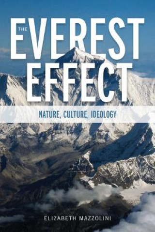 Книга Everest Effect Elizabeth Mazzolini