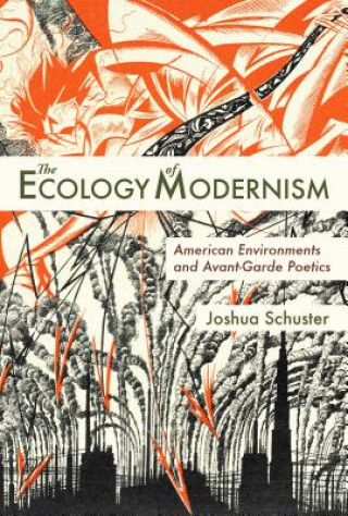 Kniha Ecology of Modernism Joshua Schuster