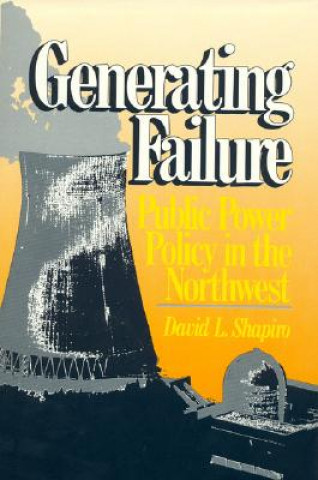Könyv Generating Failure David L. Shapiro