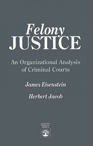 Kniha Felony Justice James Eisenstein