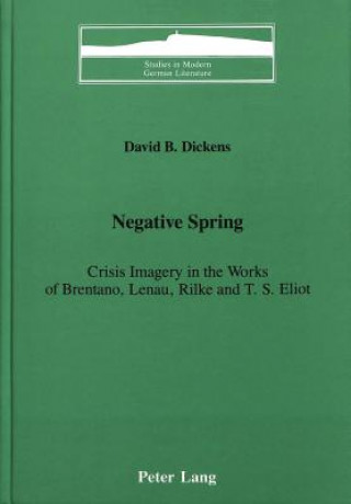 Książka Negative Spring David B. Dickens