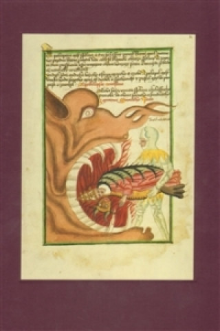 Kniha The Jena Codex 