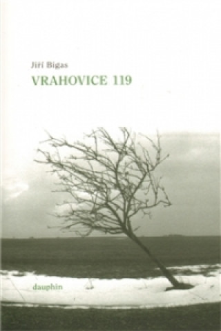 Könyv Vrahovice 119 Jiří Bigas