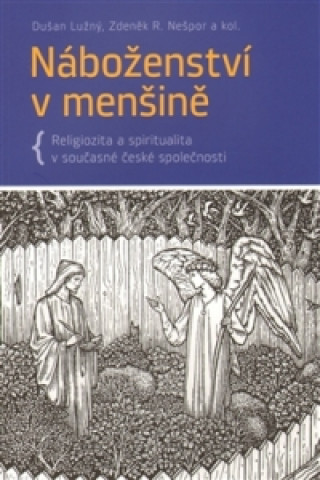 Könyv Náboženství v menšině Dušan Lužný