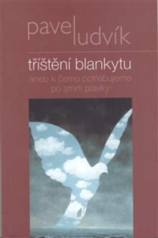 Könyv Tříštění blankytu Pavel Ludvík