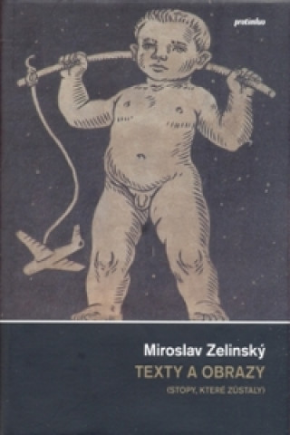 Kniha Texty a obrazy Miroslav Zelinský